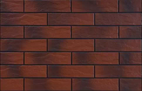 Rot rustyka