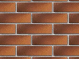 PARADYZ TAURUS BROWN